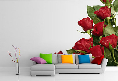 Fototapeta Roses of red